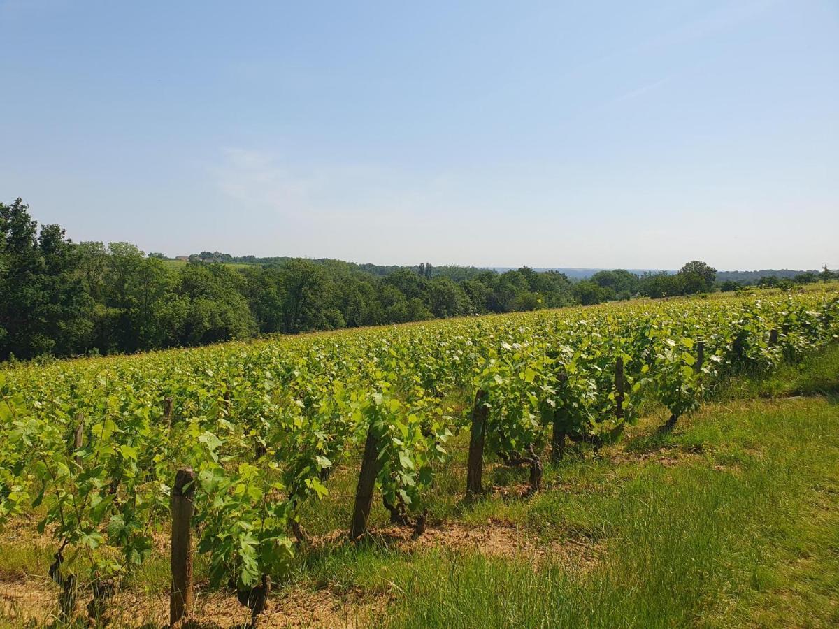 Douceurs Des Vignes Du Vivian Villa Denicé Eksteriør bilde